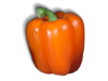 Captcha image 2091