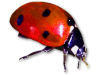Captcha image 1040