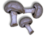 Captcha image 3024