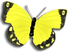 Captcha image 2894