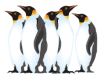 Captcha image 9747